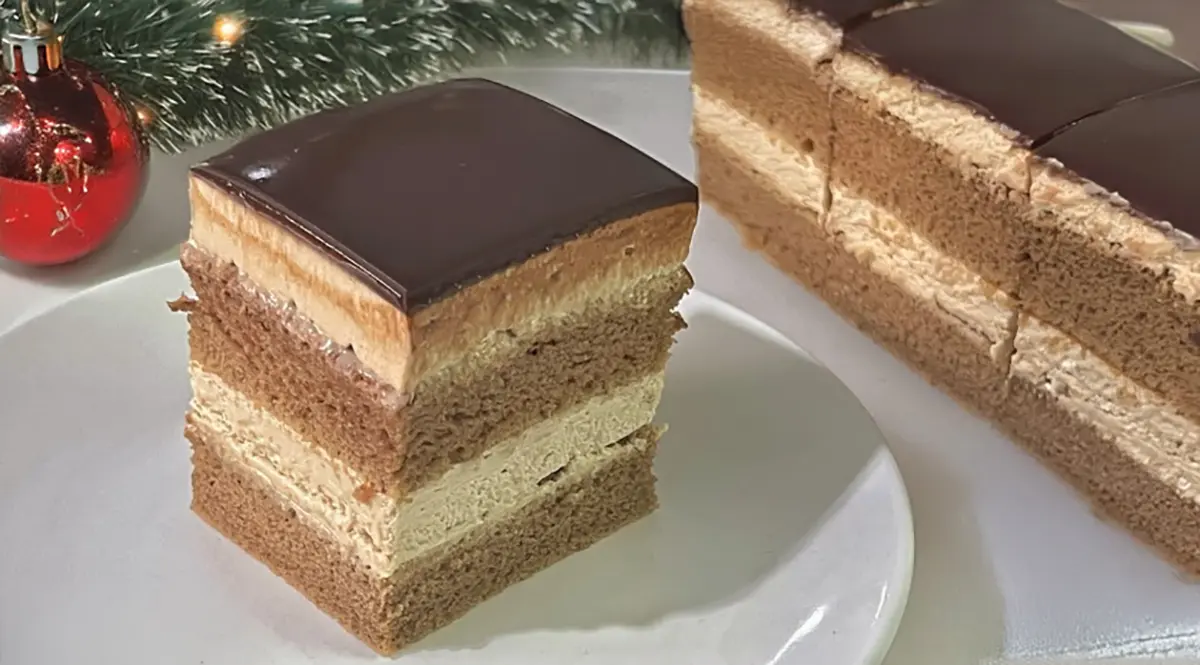 Viacvrstvový mokrý koláč