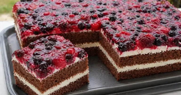 čokoládový rez s lesným ovocím