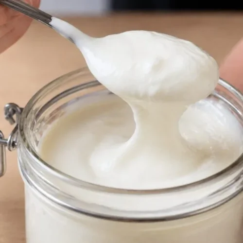 domáci jogurt z ovsených vločiek