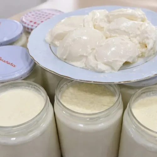 domáci jogurt z plnotučného mlieka