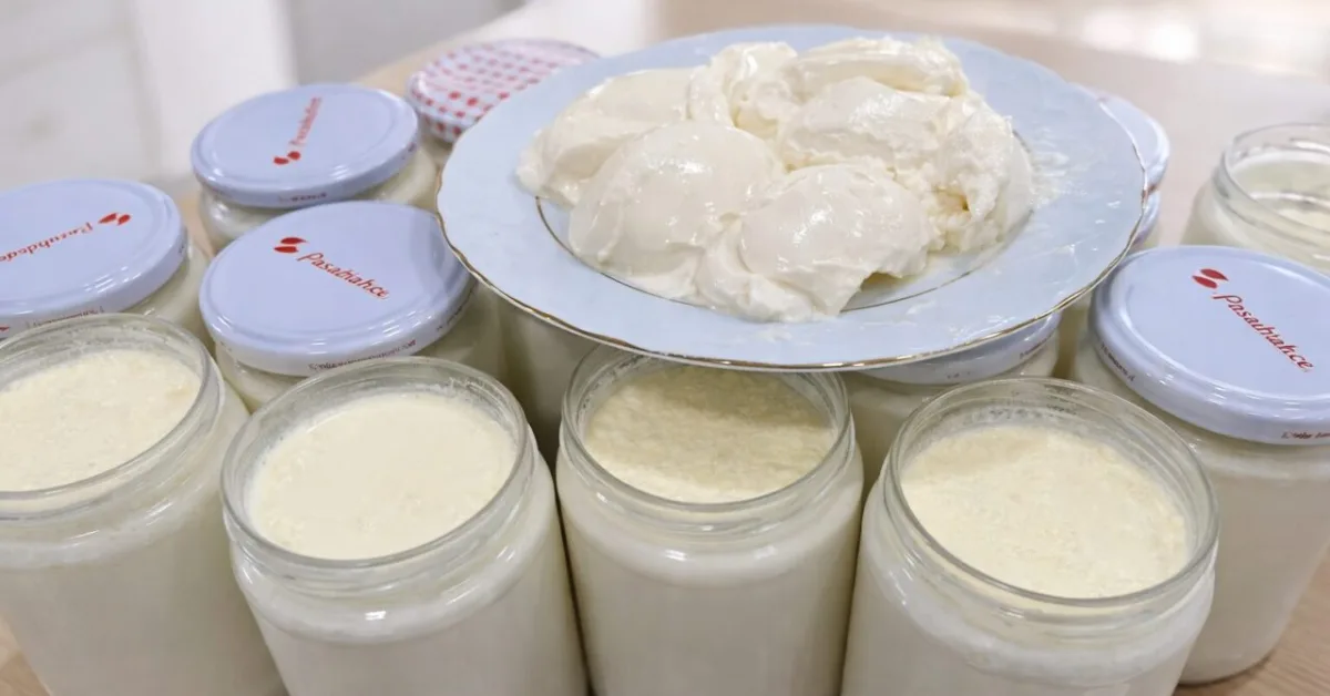 domáci jogurt z plnotučného mlieka