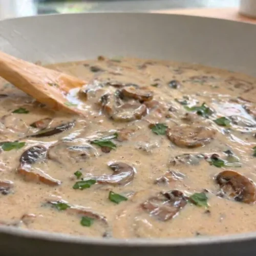 krémová omáčka zo šampiňónov