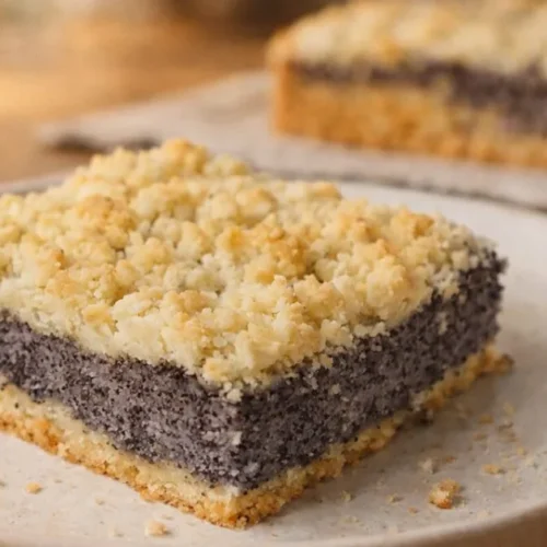 makový koláč s mrveničkou