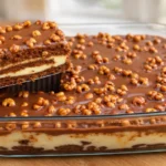 nepečený čokoládový koláč so sušienkami