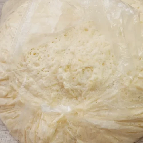 univerzálne kysnuté cesto